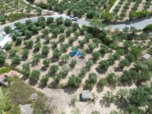 Dji Fly 20250716 190104 748 1756292842616 Photo