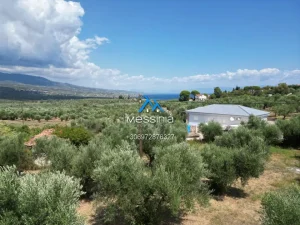 Dji Fly 20250716 190126 749 1756292841069 Photo