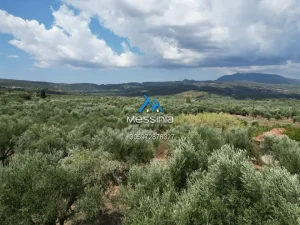 Dji Fly 20250716 190138 750 1756292839898 Photo