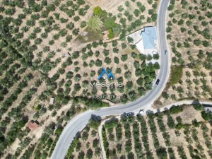Dji Fly 20250716 190238 751 1756292838307 Photo