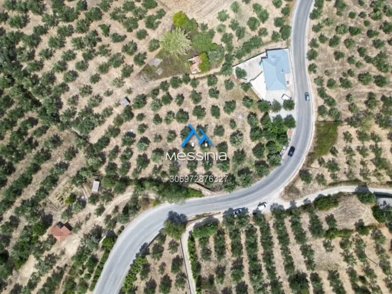 Dji Fly 20250716 190238 751 1756292838307 Photo