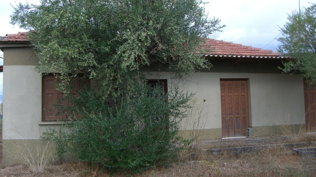 ΒΤ ΚΑΡΤΕΡΟΛΙ ΡΑΧΗ1