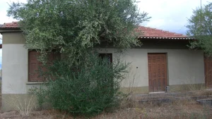 ΒΤ ΚΑΡΤΕΡΟΛΙ ΡΑΧΗ1