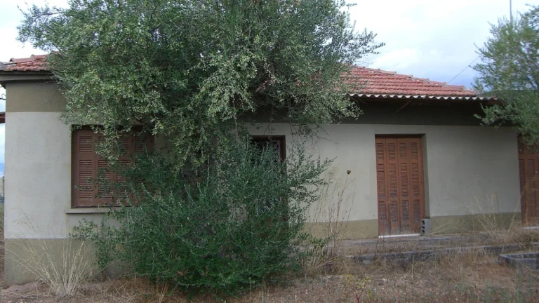 ΒΤ ΚΑΡΤΕΡΟΛΙ ΡΑΧΗ1