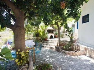 CompressJPEG.Online Img800x600 16