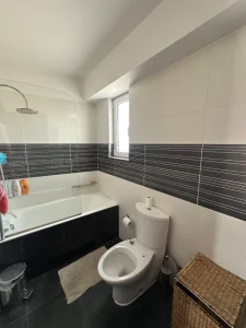 IMG 8511