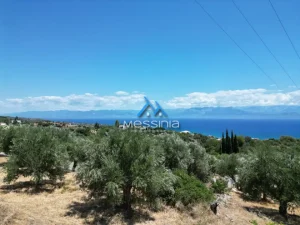 DJI 0202