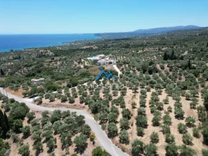 DJI 0210