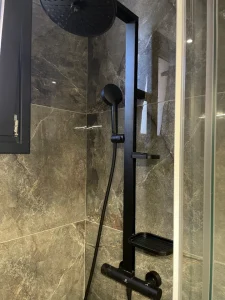 IMG 1461