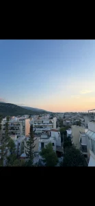 IMG 7103