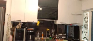 1000013242