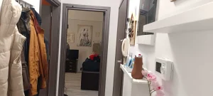 1000013243