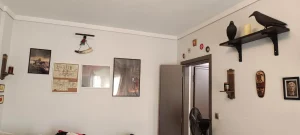 1000013244