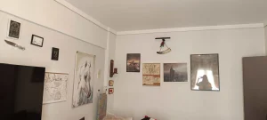 1000013249