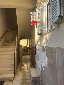 1000029241