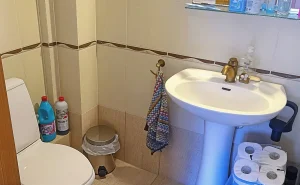 308756591 900x675