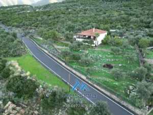 DJI 0029