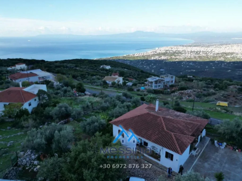 DJI 0041