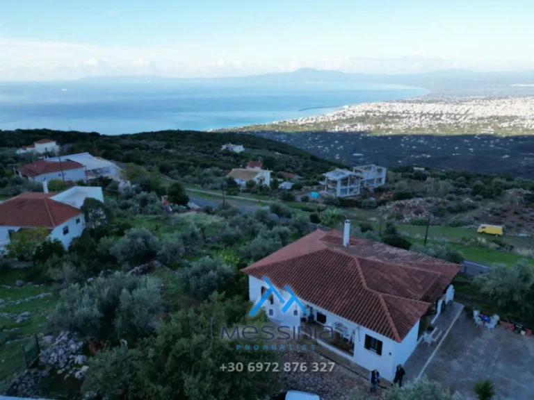 DJI 0041