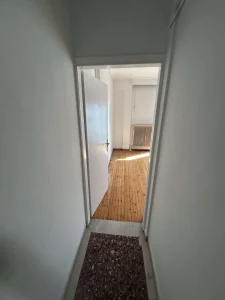 IMG 1533