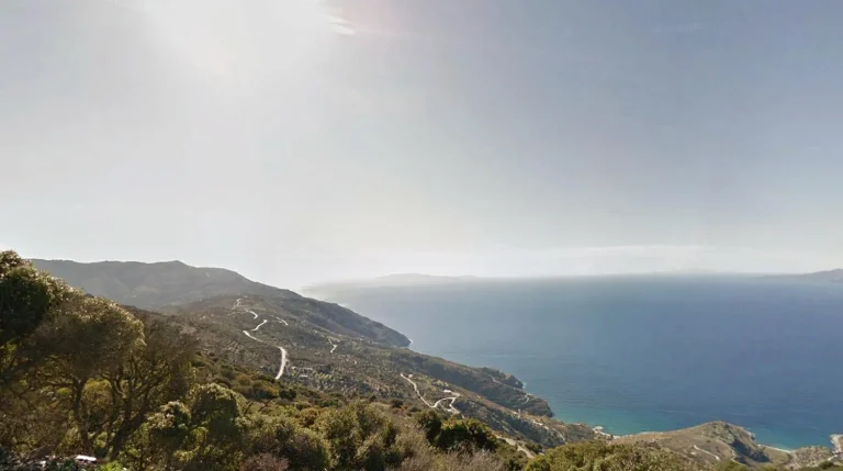 View S