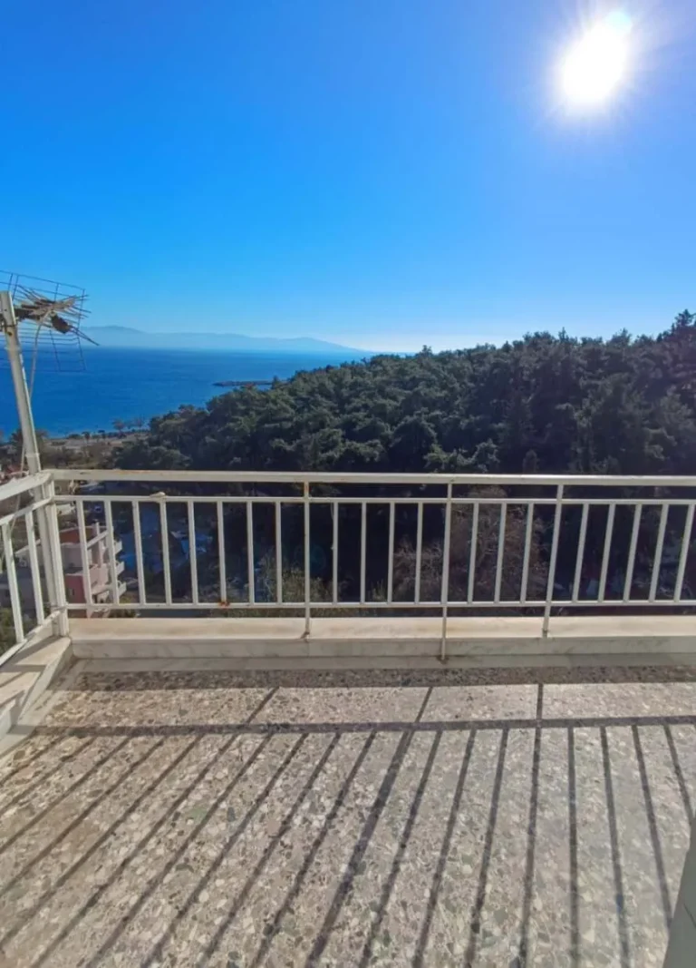 εικόνα Viber 2024 12 18 09 39 21 821