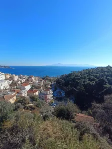 εικόνα Viber 2024 12 18 09 39 22 027