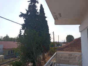 1000036126