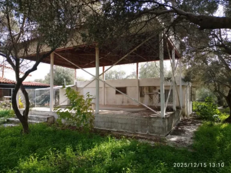 1765831270706