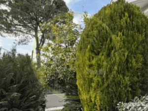 1 543 For Sale 1 1