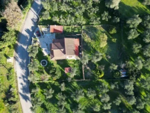 DJI 0251