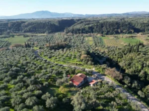 DJI 0262