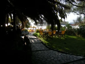 DSCN0365