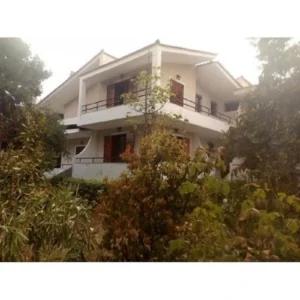 IMG 20210808 103230 450x450 Αντίγραφο
