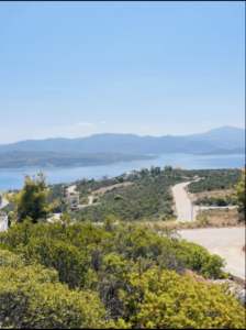 Γη προς Πώληση, 1097 τ.μ., Μαλεσίνας, Αχαρνές
