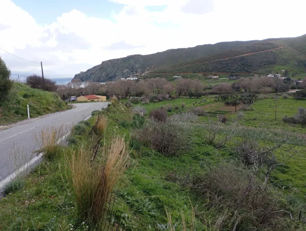 Γη προς Πώληση, 4 τ.μ., Κάρυστος – Πλατανιστός, Αετος