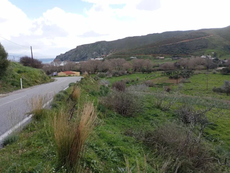 Γη προς Πώληση, 4 τ.μ., Κάρυστος – Πλατανιστός, Αετος