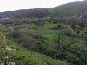 Γη προς Πώληση, 4 τ.μ., Κάρυστος – Πλατανιστός, Αετος
