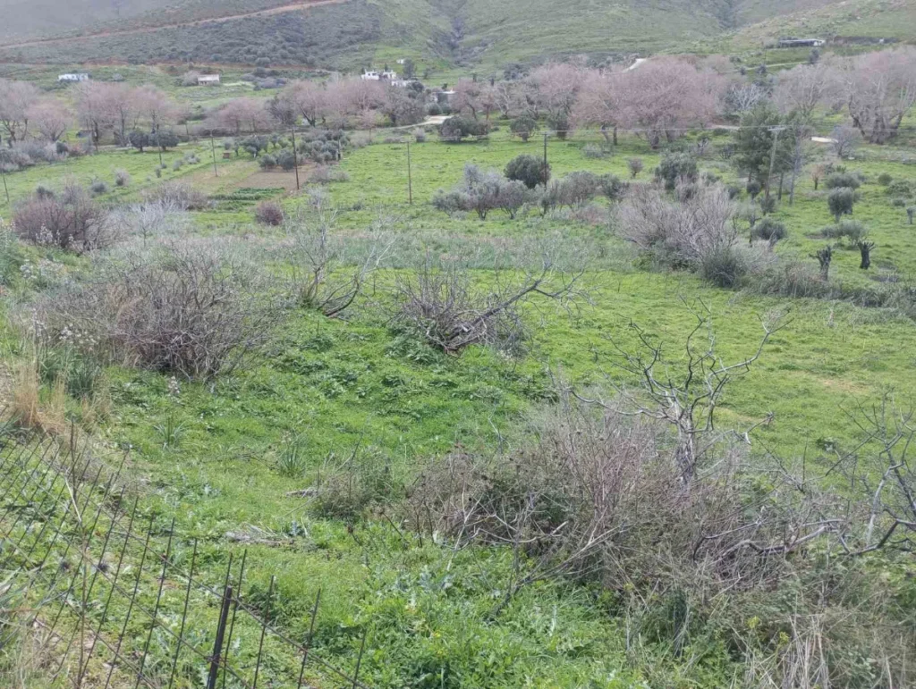 Γη προς Πώληση, 4 τ.μ., Κάρυστος – Πλατανιστός, Αετος