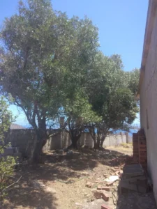 Γη προς Πώληση, 489 τ.μ., ΡΙΜΠΑΡΙ Κερατέα, Περιφέρεια Αττικής