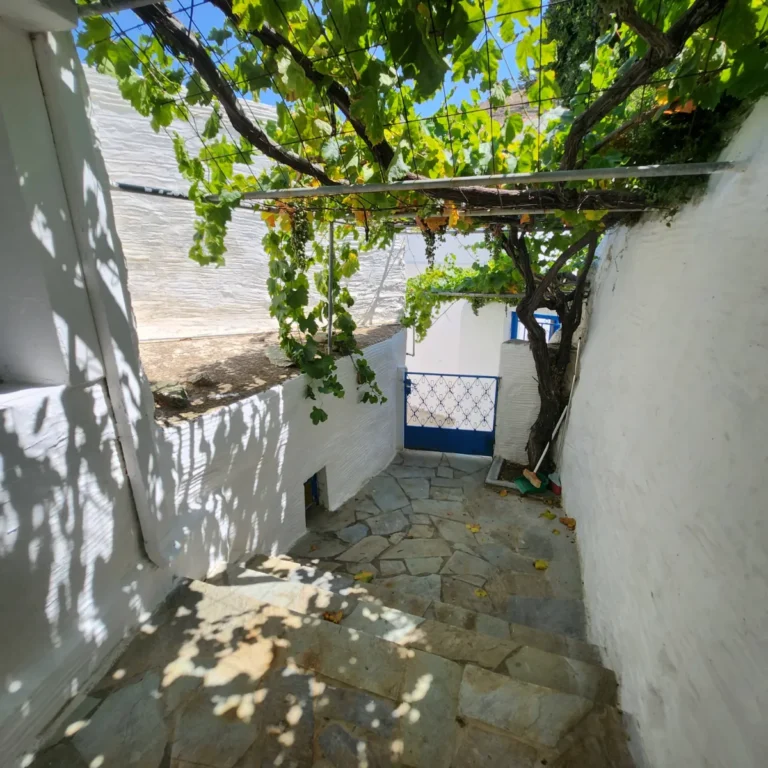 Κατοικία προς Πώληση, 235 τ.μ., Όρμος Κορθίου – Καππαριάς, Κόρθι Άνδρου
