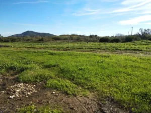 Γη προς Πώληση, 12000 τ.μ., Περιφέρεια Ιονίων Νήσων
