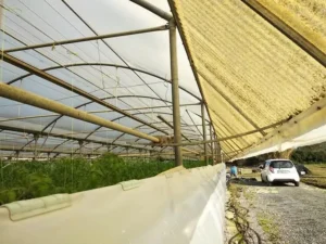Γη προς Πώληση, 12000 τ.μ., Περιφέρεια Ιονίων Νήσων