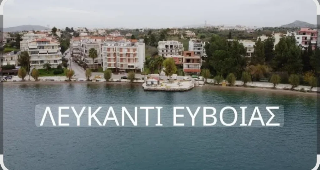 Γη προς Πώληση, 1217 τ.μ., Λευκαντίου, Βασιλικον