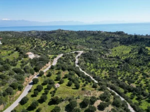 Γη προς Πώληση, 7000 τ.μ., Μεθώνης – Κορώνης, Βασιλιτσιον