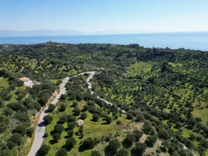 Γη προς Πώληση, 7000 τ.μ., Μεθώνης – Κορώνης, Βασιλιτσιον