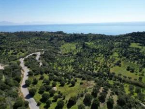 Γη προς Πώληση, 7000 τ.μ., Μεθώνης – Κορώνης, Βασιλιτσιον