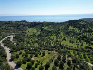 Γη προς Πώληση, 7000 τ.μ., Μεθώνης – Κορώνης, Βασιλιτσιον