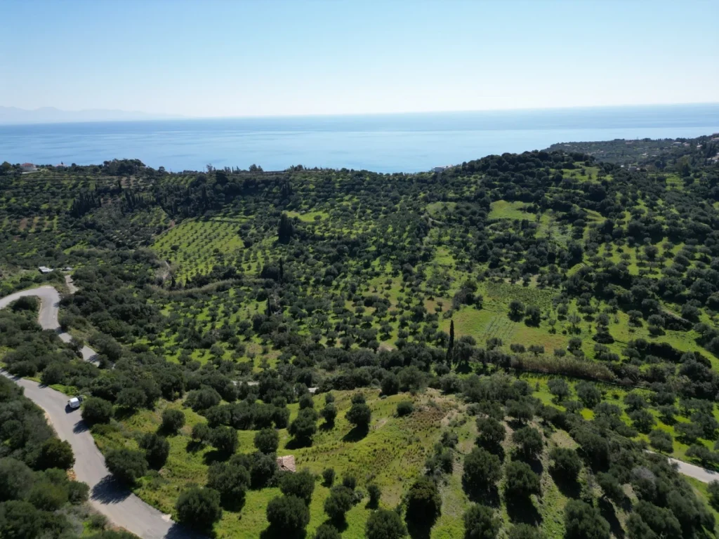 Γη προς Πώληση, 7000 τ.μ., Μεθώνης – Κορώνης, Βασιλιτσιον