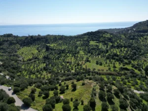 Γη προς Πώληση, 7000 τ.μ., Μεθώνης – Κορώνης, Βασιλιτσιον